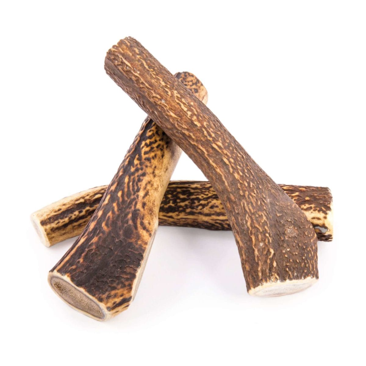 ASTA CIERVO L. - Imagen 2