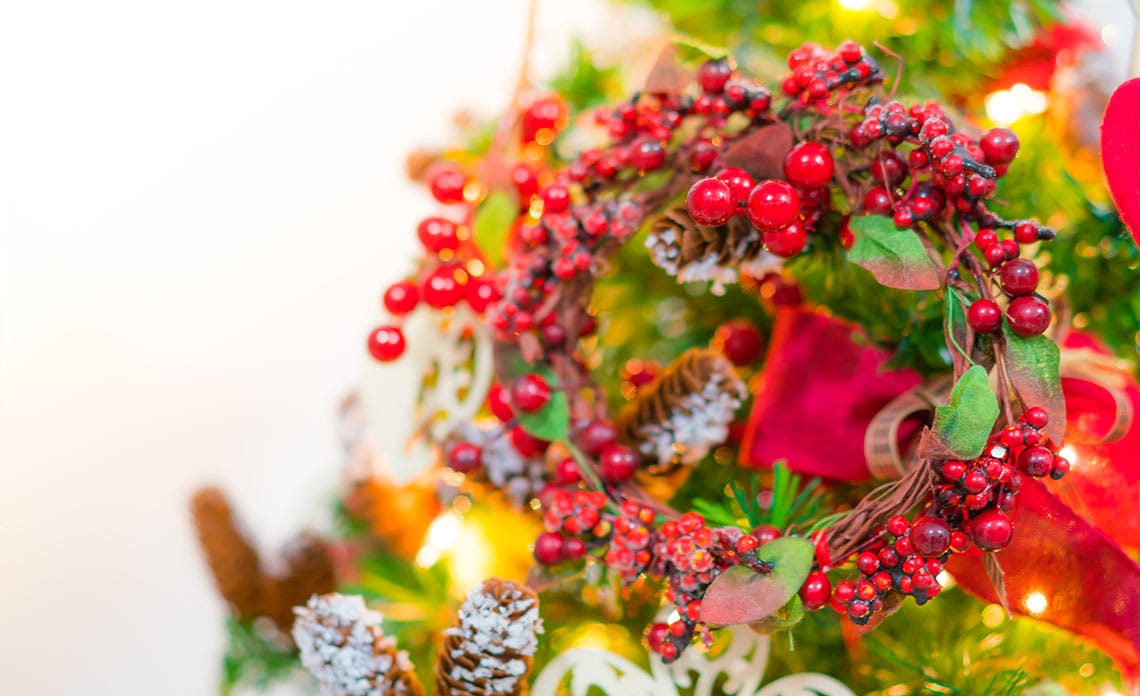 blog plantas Navidad