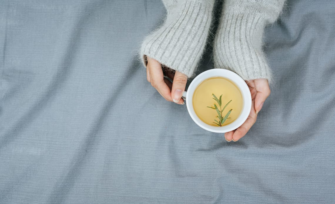 blog plantas dormir