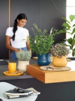 MACETA POMO 19 CM DEEP BLUE - Imagen 2