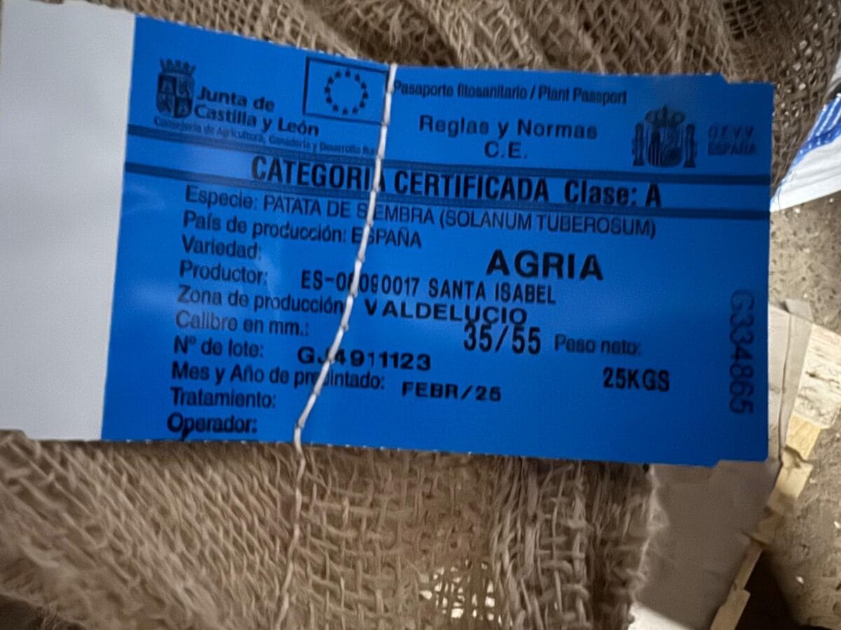 PATATA AGRIA 35/55 25 KG. - Imagen 2