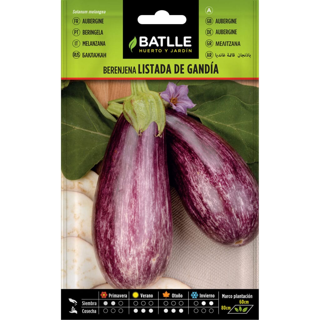 010502bols berenjena listada de gandia