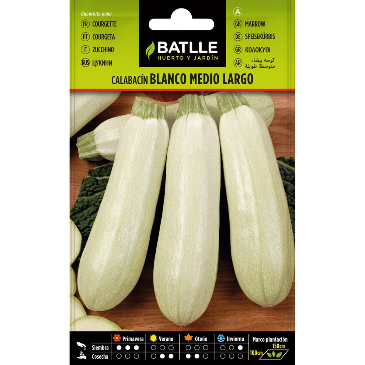 CALABACIN BLANCO MEDIO LARGO - Imagen 1