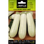 CALABACIN BLANCO MEDIO LARGO