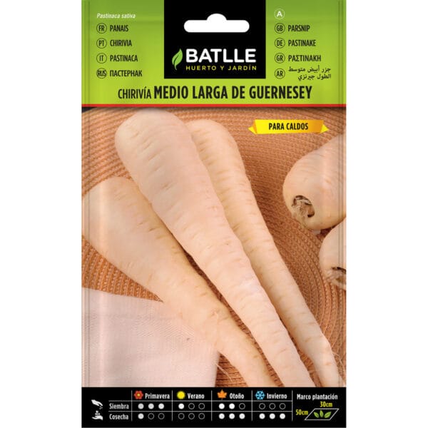 CHIRIVIA MEDIO LARGA GUERNESEY