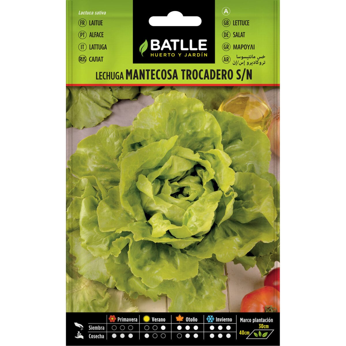 LECHUGA TROCADERO - Imagen 1