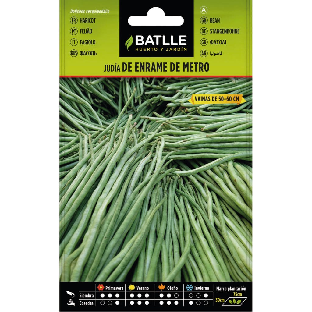 3 020574bols judia de metro