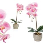 ORQUIDEA ROSA 43 CM CEMENTO