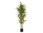 PLANTA BAMBU 150 CM