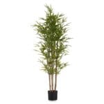 PLANTA BAMBU 150 CM