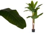 PLANTA BANANERA GRANDE 150 CM - Imagen 2