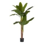 PLANTA BANANERA GRANDE 150 CM