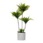 MACETA CEMENTO PALMERA VERDE