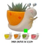 MACETA CARACOL VERDE 17X10 CM