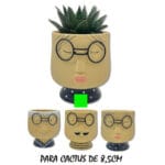 MACETA CARA RAYAS 11X12 CM