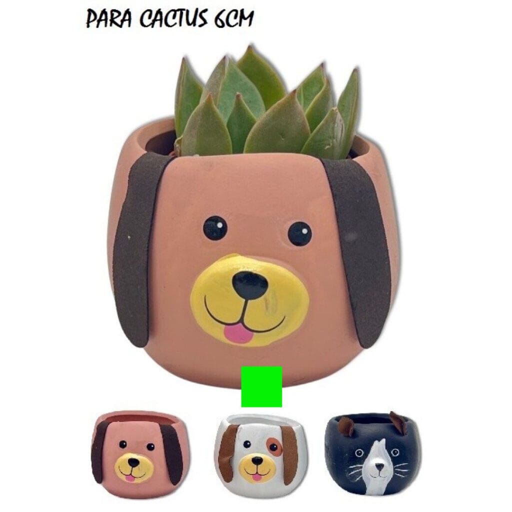 MACETAS PARA CACTUS PERROS blanca