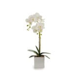 ORQUIDEA M. CUADRADA BL. 51 CM