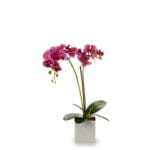 ORQUIDEA M. CUADRADA FUXIA 51 CM