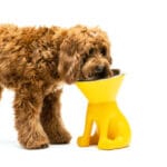 COMEDERO UP NEGRO 1000 ML. - Imagen 3