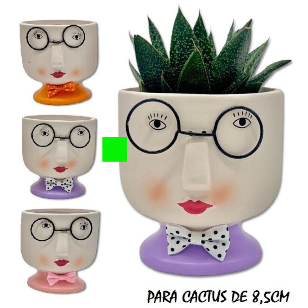 maceta caras para cactus morada