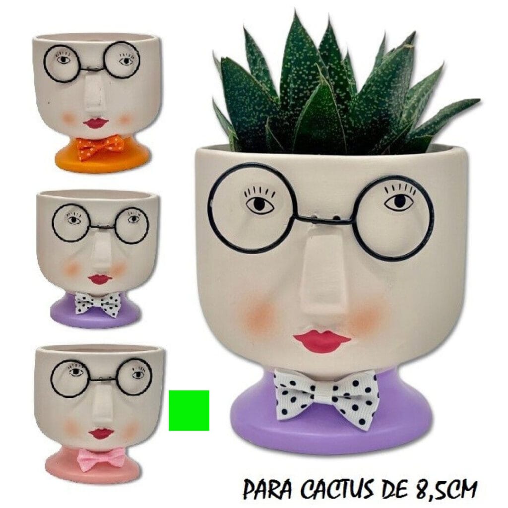 maceta caras para cactus rosa