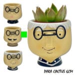 MACETA CARA RAYAS 8X8 CM