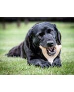 NYLABONE WISHBONE POLLO S - Imagen 3