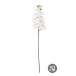 RAMA ORQUIDEA BLANCO 105 CM