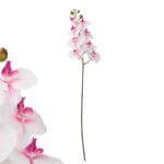 RAMA ORQUIDEA JASPEADA 105 CM