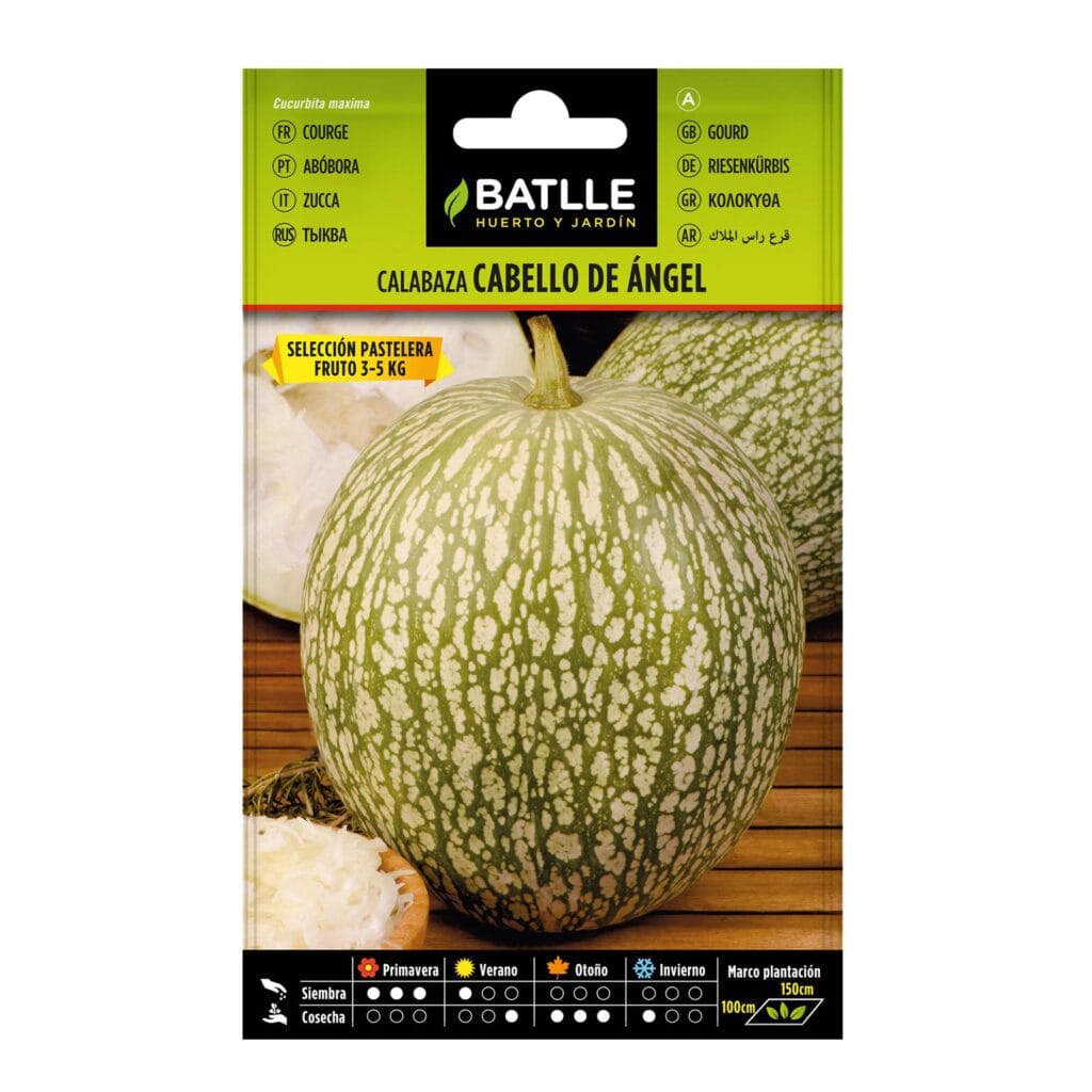 011301bols calabaza cabello ange