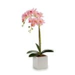 ORQUIDEA M. CUADRADA ROSA 51 CM