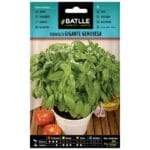 ALBAHACA GIGANTE GENOVESA