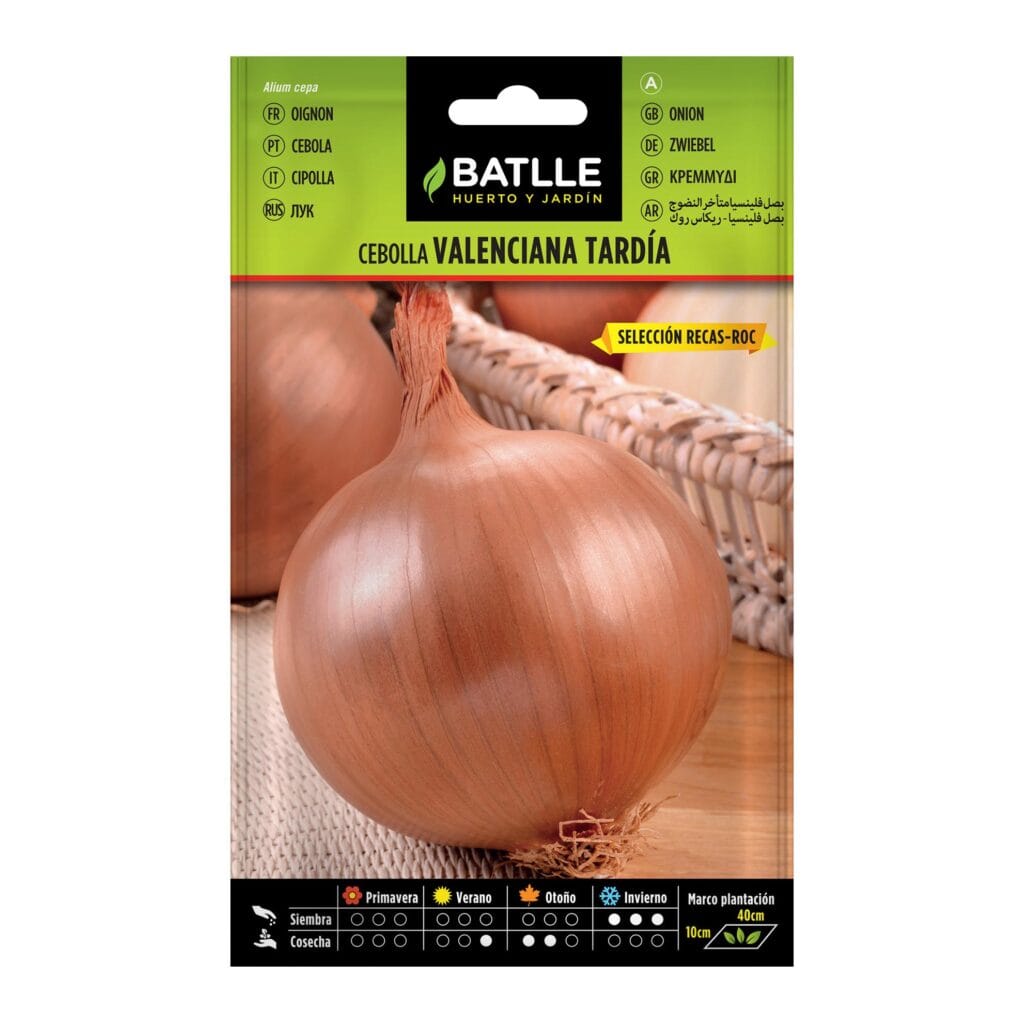 Cebolla Valenciana Tardia Sel. Recas Roc