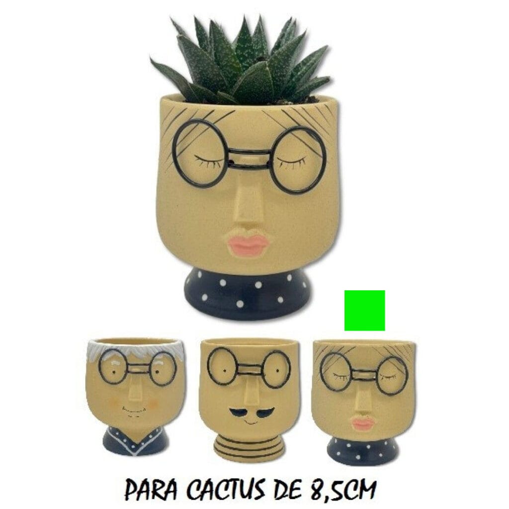 MACETAS CARAS FAMILIA puntos