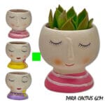 MACETA CARA AMARILLA CACTUS 6 CM