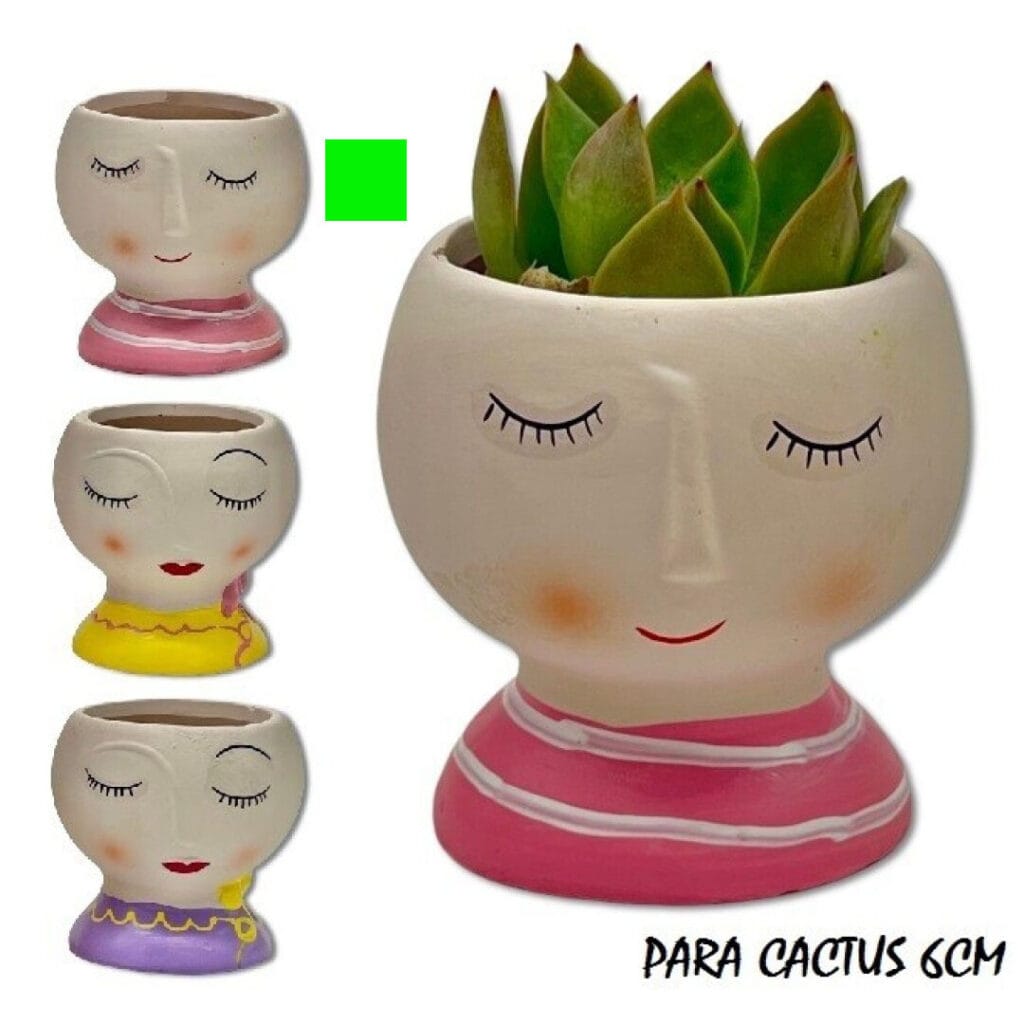 MACETAS DE CARAS cactus rosa