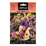 STATICE SINUATA VARIADO