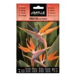 STRELITZIA AVE PARAISO