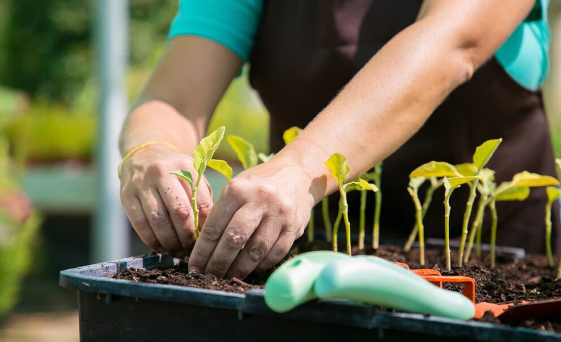 blog portada huerto abril