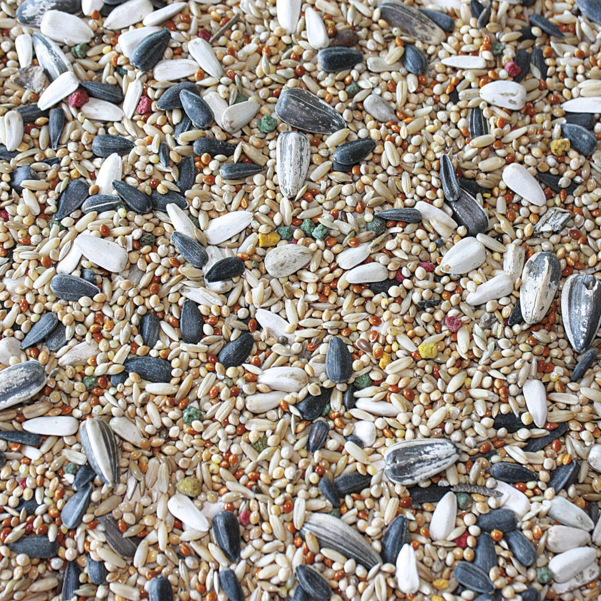 COTORRAS VIT PRO 3 KG. - Imagen 2