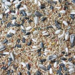 COTORRAS VIT PRO 3 KG. - Imagen 2