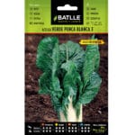 ACELGA VERDE BLANCA 3 PENCOSA