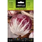 ACHICORIA PALLA ROSSA 5