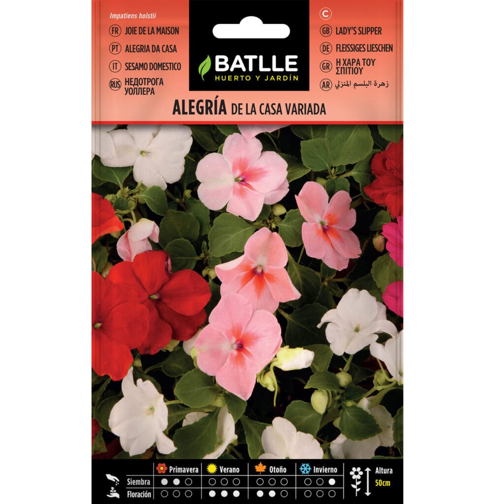 Alegria de la casa variada