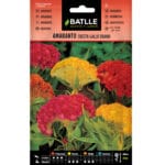 AMARANTO CRESTA GALLO ENANO