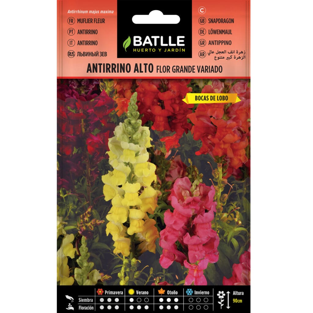 Antirrino Alto Grande Variado