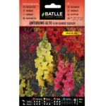 ANTIRRINO ALTO FLOR GRANDE VDO