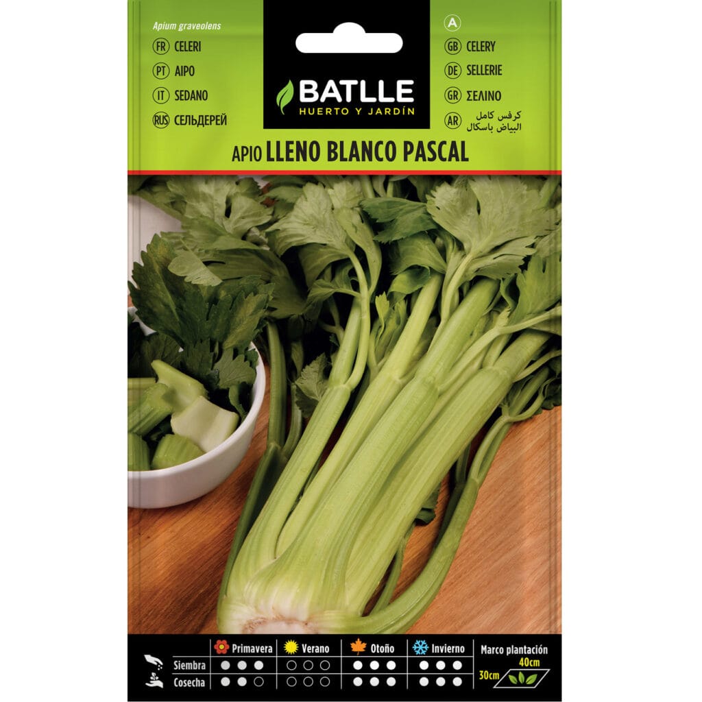 Apio Lleno Blanco Pascal