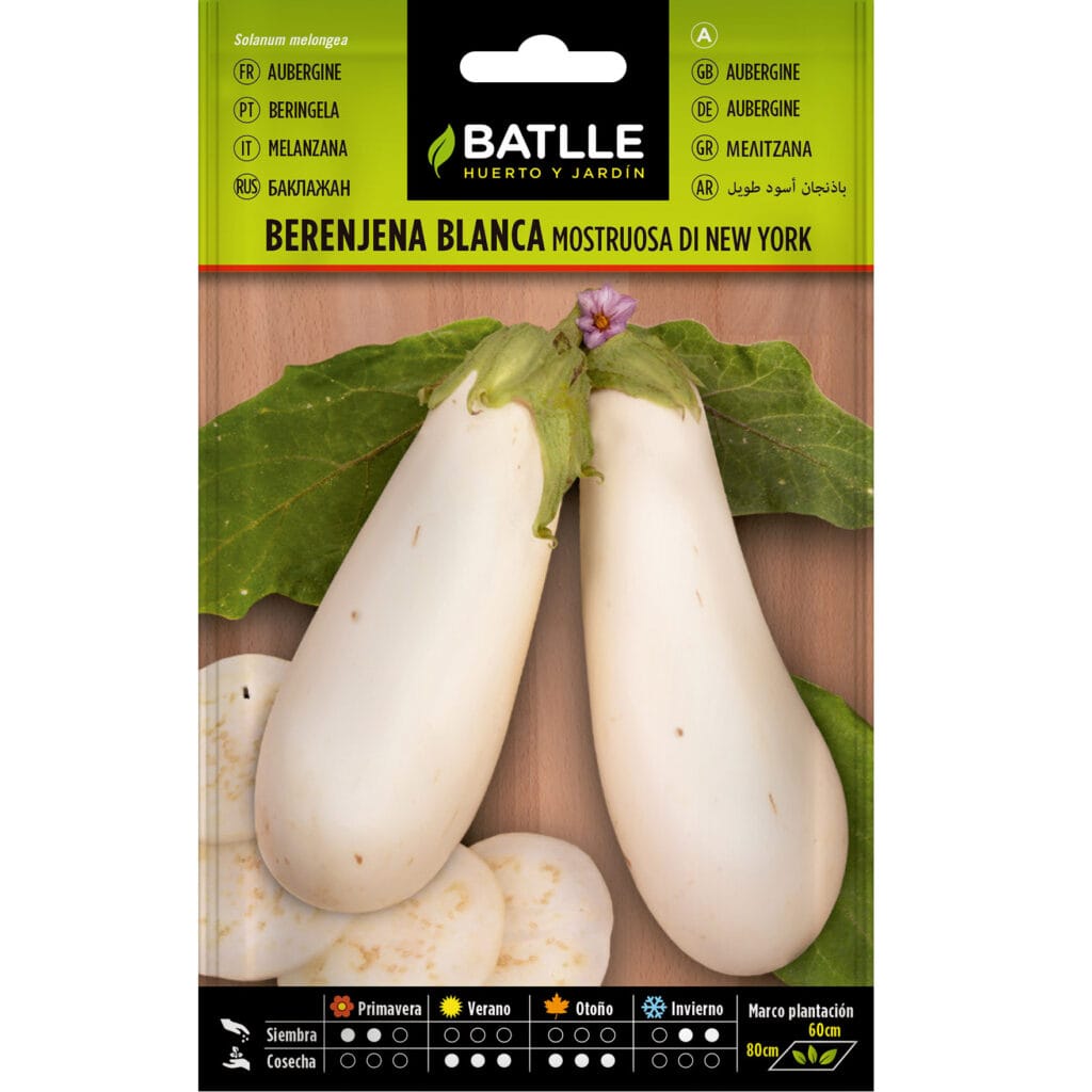 Berenjena Blanca