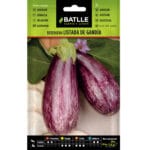 BERENJENA LISTADA DE GANDIA